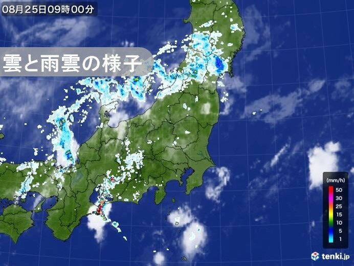 きょう25日の関東甲信　一時的に雨や雷雨