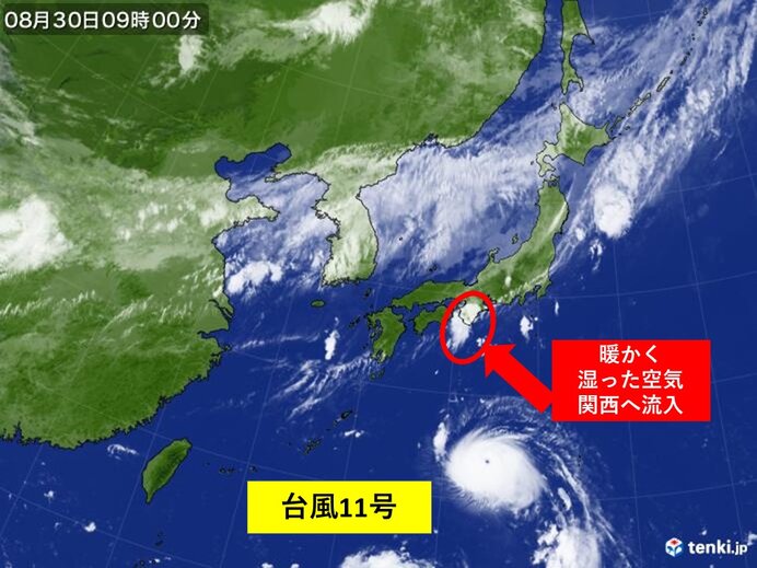 台風11号　関西でもすでに間接的な影響　来週にかけて警戒必要