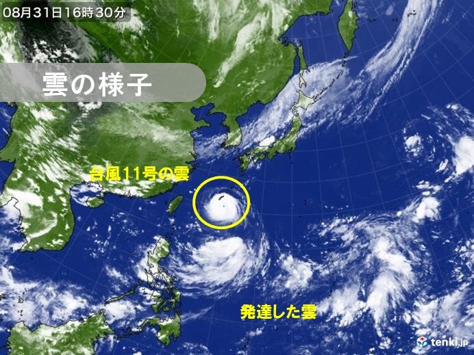 8月の台風は日本に近い所で発生 今年は台風シーズン長引く可能性