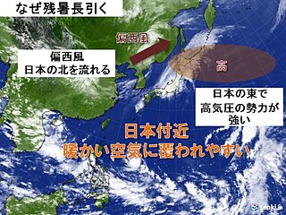 残暑が戻る　まだ汗ばむくらいの日も　冬の訪れは早く10月終わり頃は木枯らしの季節