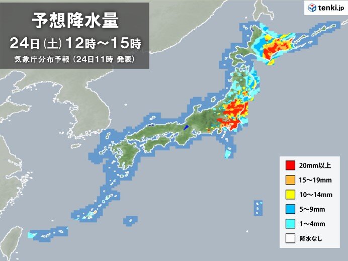 午後も関東から北海道の太平洋側は局地的に激しい雨や雷雨　土砂災害や川の増水に警戒