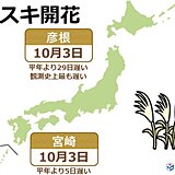 ススキ開花　彦根は観測史上最も遅く　宮崎は平年より5日遅い