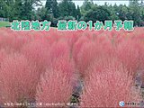 北陸地方　最新の1か月予報　気温は高めだが短期的な変動に注意　秋晴れは少ない