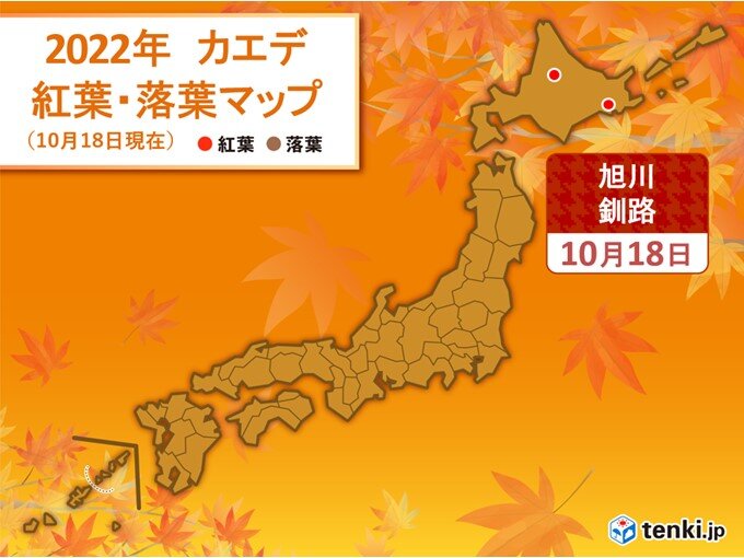 旭川と釧路でカエデの紅葉 昨年より2日 4日早い ことしは平年並みで色づく予想 気象予報士 日直主任 22年10月18日 日本気象協会 Tenki Jp