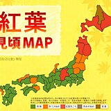 紅葉見頃MAP　見頃エリア一気に拡大　本州だけでなく四国や九州でも 週末の天気は