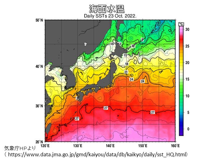 熱帯低気圧　発生すると発達する可能性