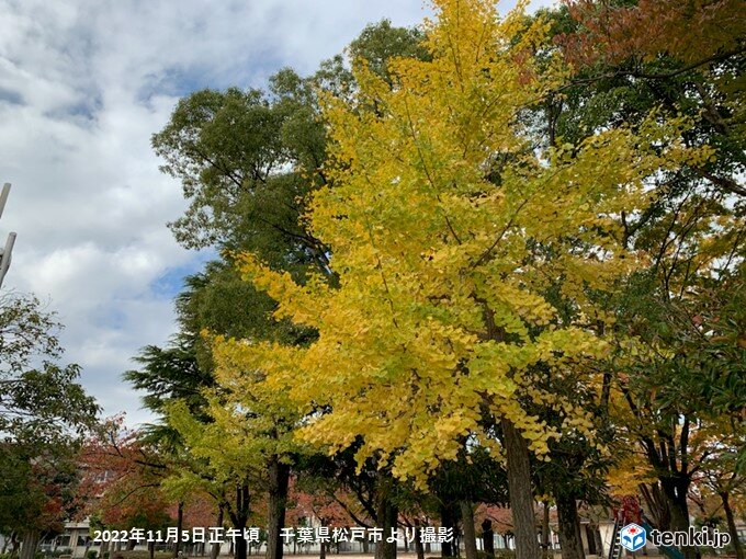 紅葉シーズン真っ只中