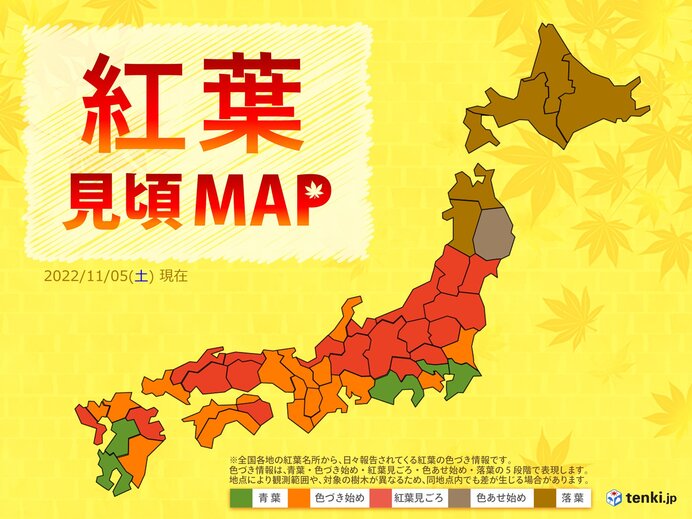 紅葉見ごろMAP　東北南部～九州はシーズン真っ只中　あす6日は広く秋晴れ