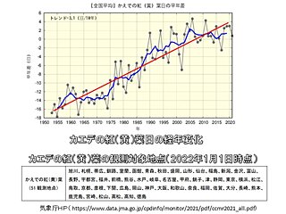 カエデの紅葉日　10年あたり約3日遅くなっている「長期的な気温上昇」の影響が一因