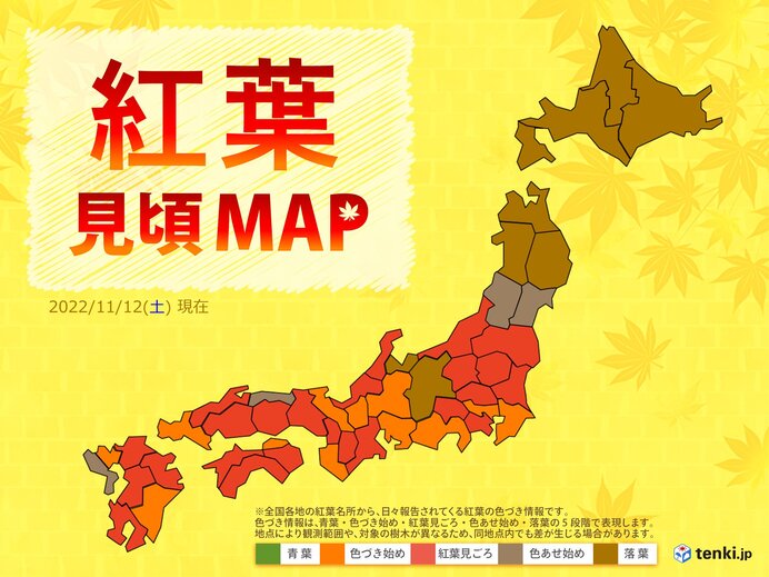 Autumn leaves MAP West Japan / East Japan Large area to see autumn leaves Saturday is recommended for autumn leaves viewing this weekend (Weather Forecast Akiko Aoyama November 12, 2022) – Japan Weather Association tenki.jp