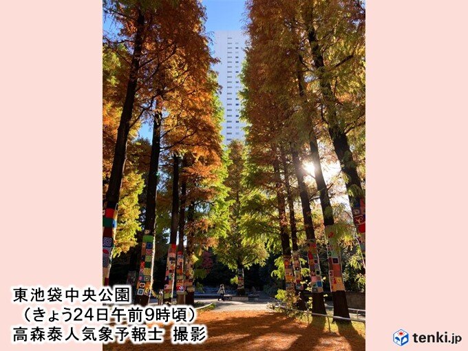 紅葉狩り日和続く