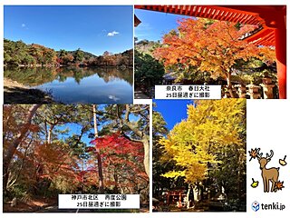 関西　今週末が紅葉狩りラストチャンス?来週は年末年始並みの寒さに