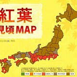 紅葉見頃MAP　紅葉は終盤戦　残り少ない紅葉狩りの機会　土日に最適なのは?