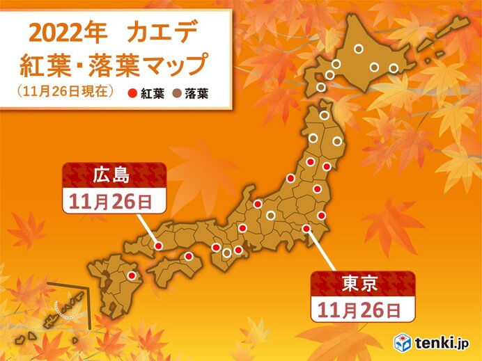 東京と広島でイロハカエデ紅葉　関東から西は紅葉見頃の終盤