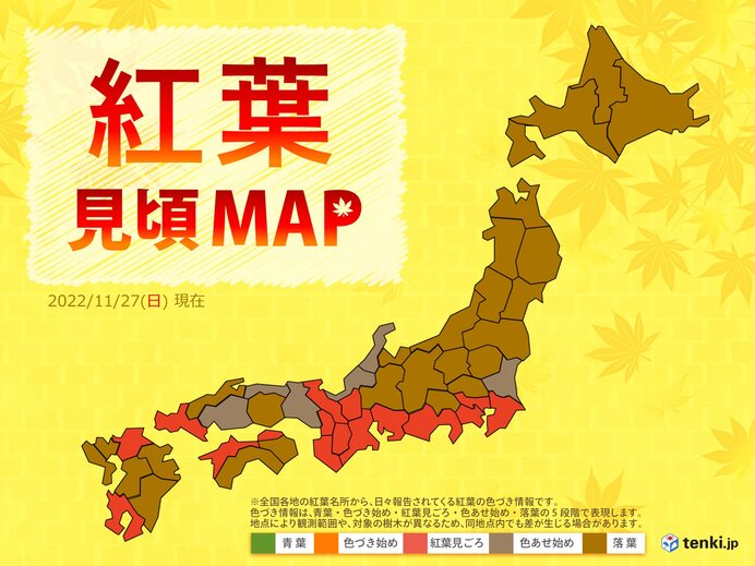 関東南部や東海、近畿で広く紅葉見頃