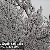 九州　雲仙岳で「初霧氷」　由布岳で「初冠雪」　あす2日(金)も寒さ続く