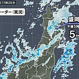 盛岡で積雪5センチ　今夜～雪強まる所も　日本海側は強風にも注意　雪道は安全運転を
