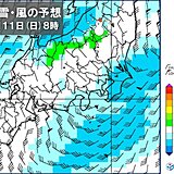 関東　11日(日)は沿岸部で雨　雨のあとは再び寒く　都心はひとケタの最高気温に