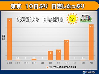 東京都心　日差したっぷり　10日ぶりに日照時間7時間以上　湿度30パーセント台