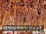 まもなく点灯　SENDAI光のページェント　来週は雪と共演　日本海側は大雪注意