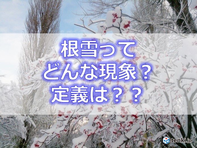 北国でよく聞く「根雪」って?　北海道では札幌などでこのまま根雪になりそう