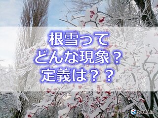 北国でよく聞く「根雪」って?　北海道では札幌などでこのまま根雪になりそう
