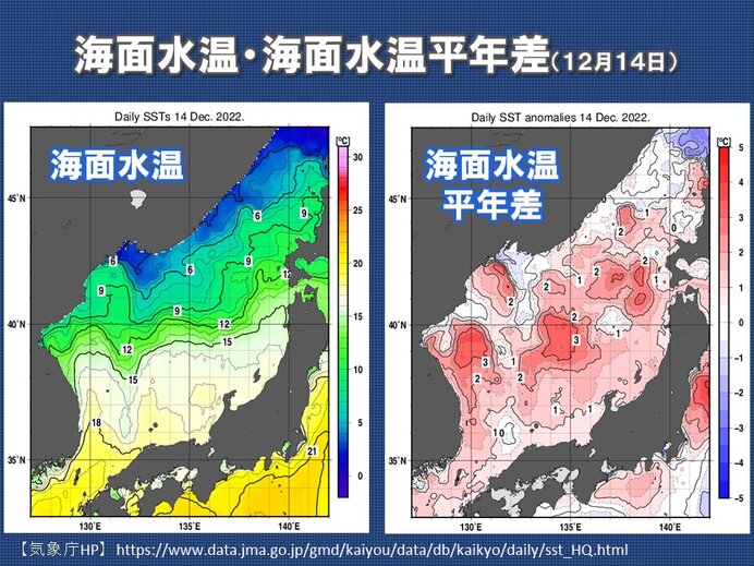 日本海　海面水温が高い