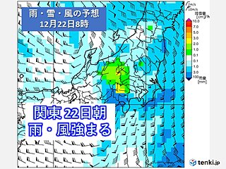 関東　22日朝は広く雨　強雨や雷雨も　最高気温15℃以上　23日は真冬並みの寒さ