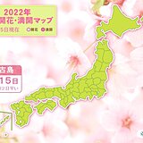 宮古島でヒカンザクラ開花　平年より2日早い