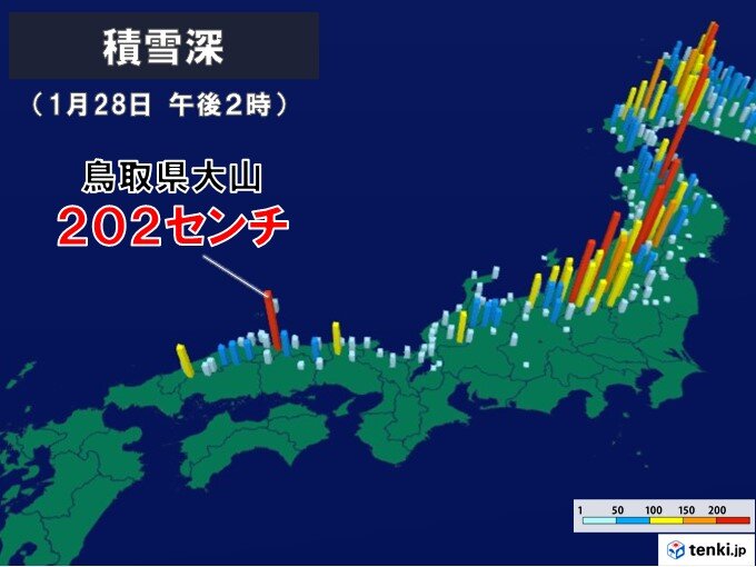 鳥取県大山で積雪202センチ　西日本で今季初の2メートル超え