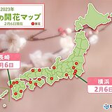 横浜と長崎でウメ開花　長崎で2月の開花は5年ぶり