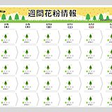 関東～九州　いよいよ花粉シーズンへ　関東など例年の2倍「非常に多い」予想