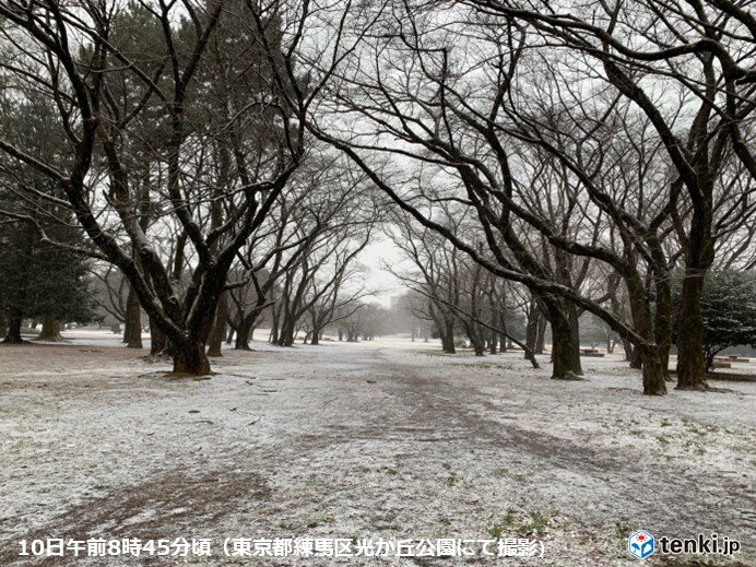 東京都心　午前10時の気温0℃台　予想より気温低下　歩道に積雪の恐れ　転倒注意