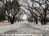 東京都心　午前10時の気温0℃台　予想より気温低下　歩道に積雪の恐れ　転倒注意