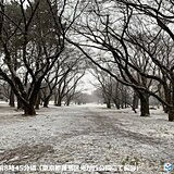 東京都心　午前10時の気温0℃台　予想より気温低下　歩道に積雪の恐れ　転倒注意