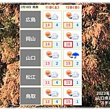 中国地方今週末スギ花粉少量飛散　来週　南岸低気圧と寒気で雨や雪　真冬並みの寒さに