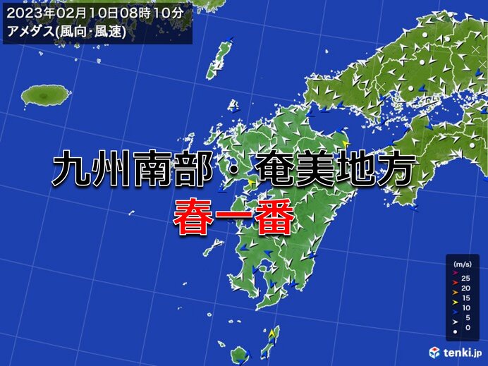 九州南部・奄美地方で「春一番」 昨年より一カ月以上早く