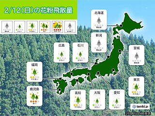 12日の花粉情報　鹿児島「多い」　東京など「やや多い」　週の後半は飛散が本格化