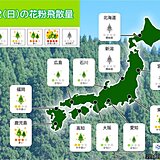 12日の花粉情報　鹿児島「多い」　東京など「やや多い」　週の後半は飛散が本格化