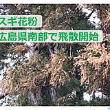中国地方　広島県南部スギ花粉飛散開始も　今日15日雪舞う寒さ