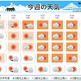 週間　初夏の陽気　桜前線グングン加速