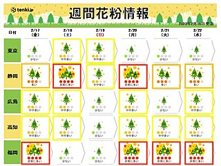 スギ花粉の大量飛散迫る　あす17日以降は東海や九州で「非常に多い」予想も