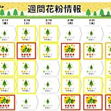 スギ花粉の大量飛散迫る　あす17日以降は東海や九州で「非常に多い」予想も