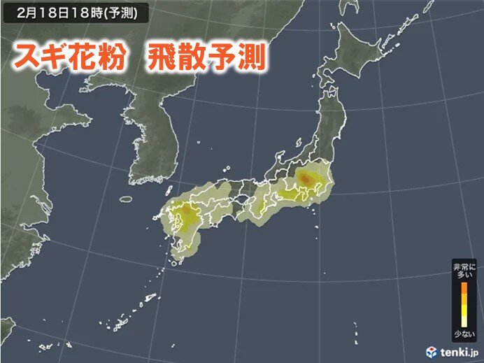 18日の花粉情報　今週末は東京など「やや多い」　九州は大量飛散　花粉シーズン突入