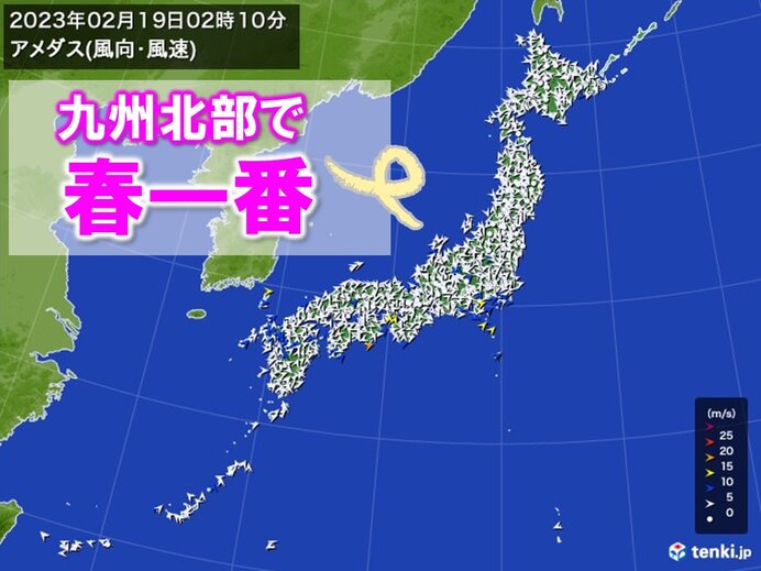 九州北部地方で「春一番」が吹きました(気象予報士 日直主任 2023年02月19日) - tenki.jp