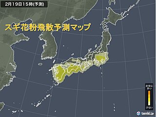 花粉情報　19日(日)雨が上がる午後は注意　今年は大量飛散でピーク長引く可能性も