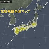 花粉情報　19日(日)雨が上がる午後は注意　今年は大量飛散でピーク長引く可能性も