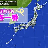 九州北部に続き、四国でも「春一番」が吹きました