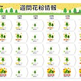 花粉情報　真冬の寒さでも「非常に多い」　九州はまもなくピーク　関東も「多い」予想