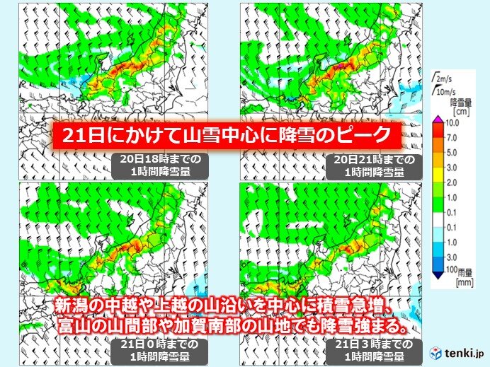 降雪のピークは今夜20日～明日21日　中越や上越の山沿いを中心に警報級の大雪も